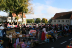 IMG_0934 IMG_0934