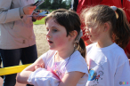 2015-hss-12 2015-hss-12