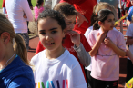 2015-hss-10 2015-hss-10