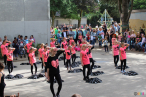 IMG_0176 IMG_0176