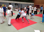 IMG_6982 IMG_6982