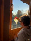 IMG_5637 IMG_5637