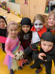 IMG_0654 IMG_0654