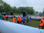 IMG_1243 IMG_1243