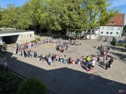 IMG_3879 IMG_3879