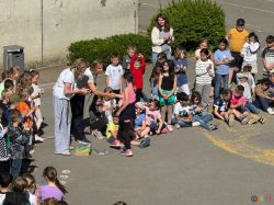 IMG_3887 IMG_3887