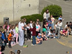 IMG_3882 IMG_3882