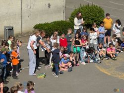 IMG_3883 IMG_3883
