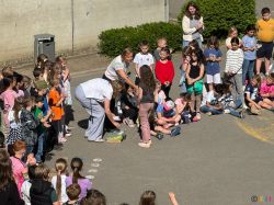 IMG_3886 IMG_3886