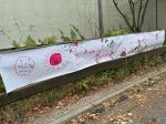 IMG_4858 IMG_4858